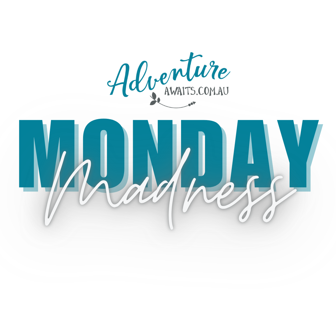 Monday Madness at Adventure Awaits