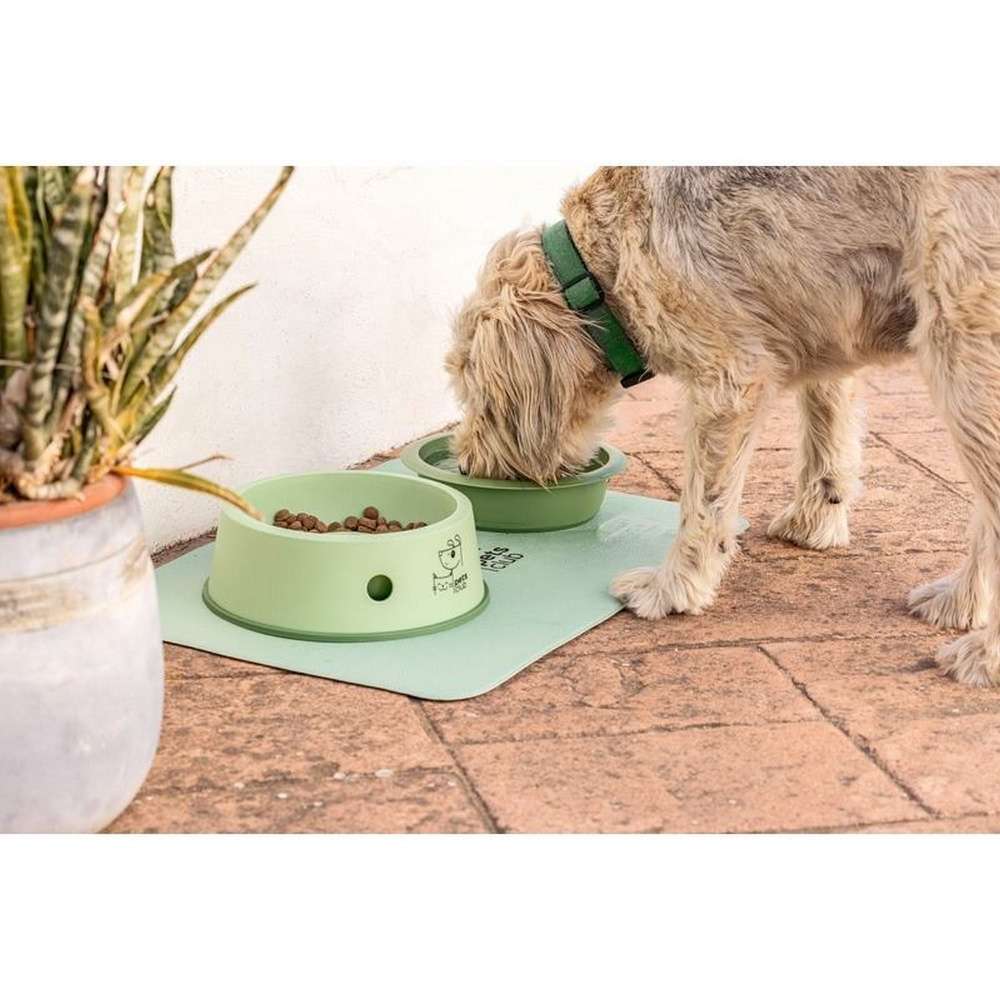 VIGAR Pets Club | 3pc Pet Feeder