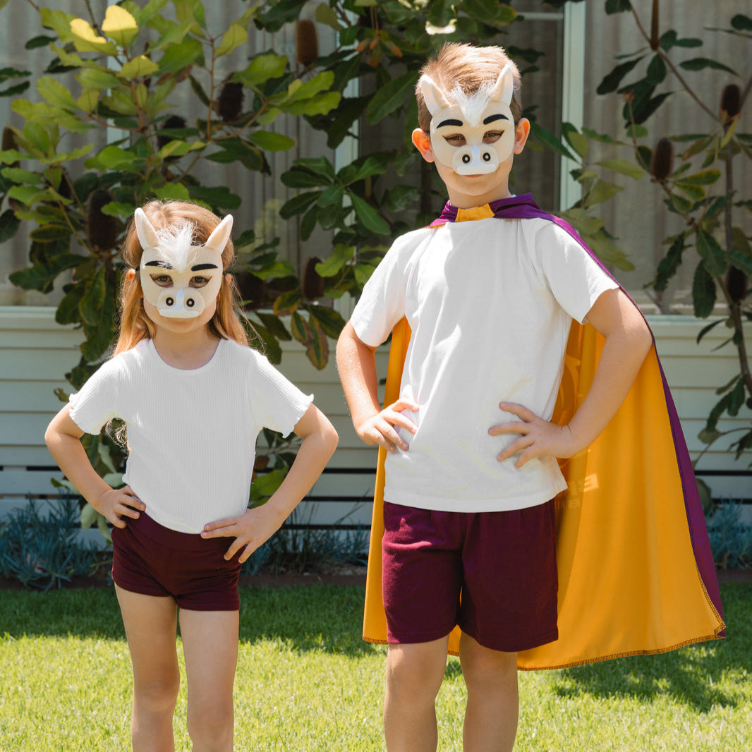 PRE ORDER Brisbane Broncos | Mascot Mask Or Cape