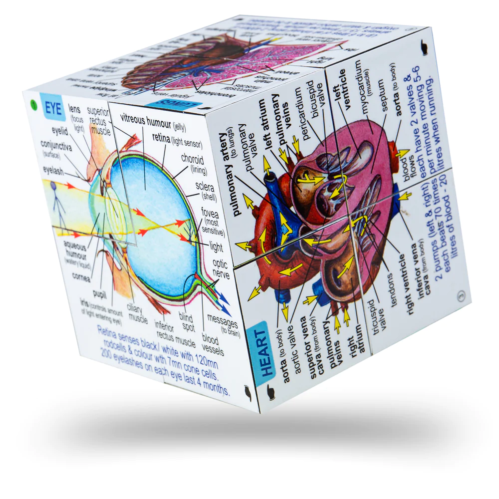 Zoobookoo Cube Book | Human Body