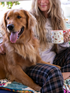 Every Dog Has A Home | Bungalow Mug by Natural Life 080