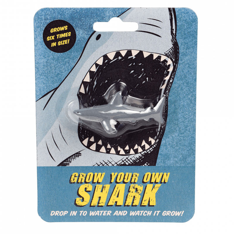 Rex London | Grow Your Own Squishy Shark