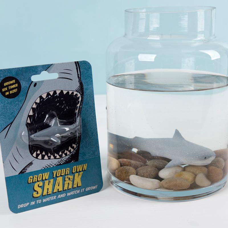 Rex London | Grow Your Own Squishy Shark