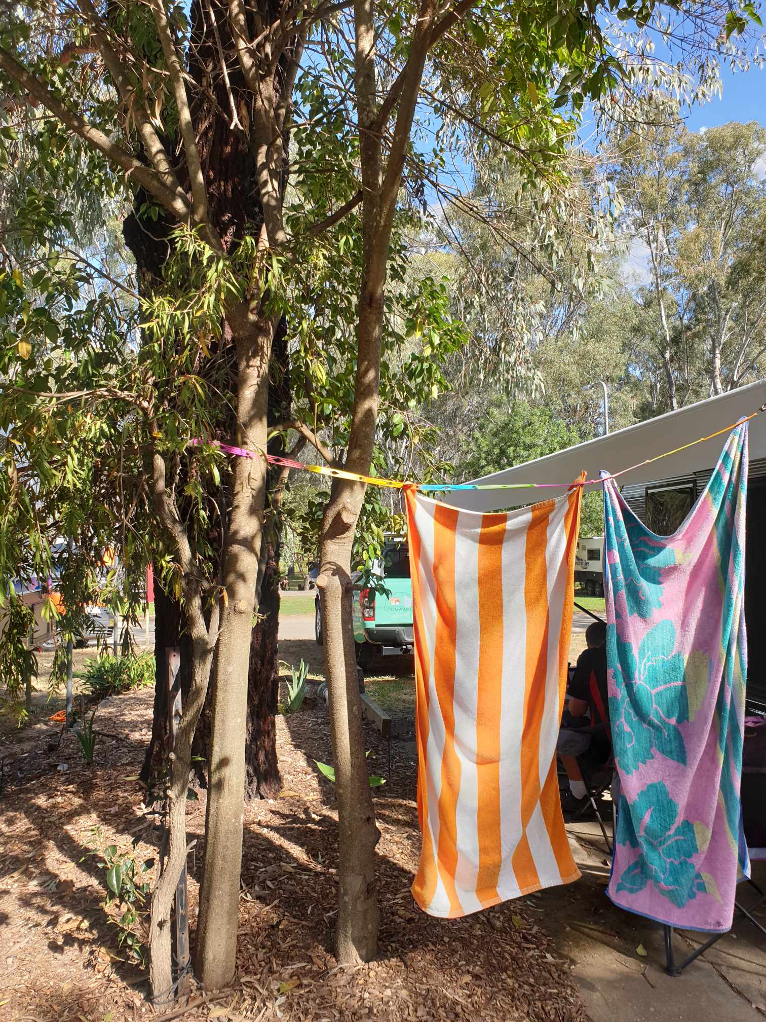 Slide n' Dry Pegless Clothesline | Eucalyptus LIMITED EDITION