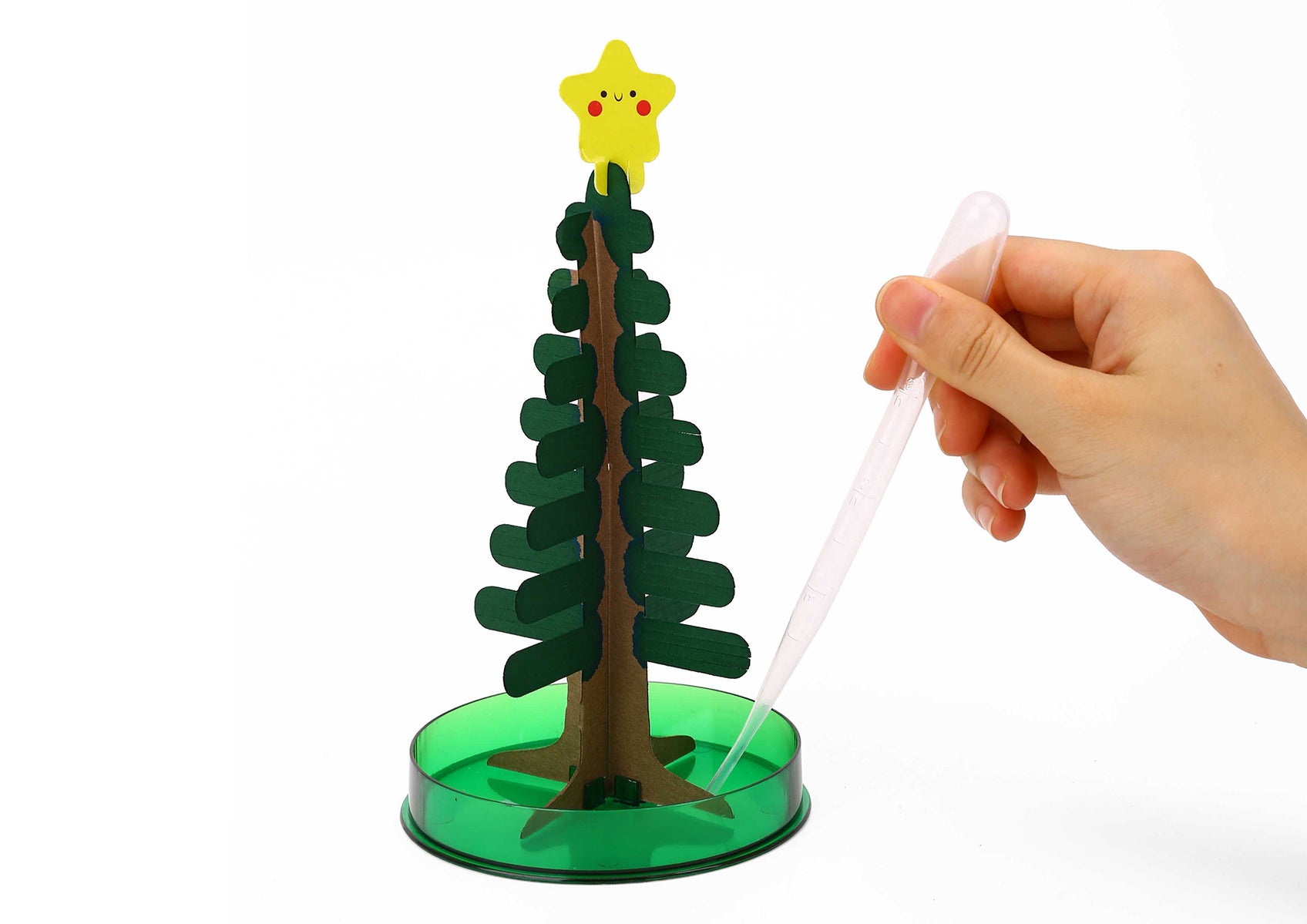 Magic Growing Tree | Christmas Tree