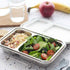 Nestling Stainless Steel DUO Bento Box | Leakproof