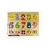 Numbers Maths Peg Puzzle