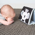 Koala Tummy Time Book & Mirror | Taf Toys