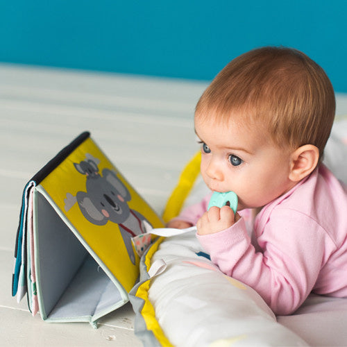 Koala Tummy Time Book & Mirror | Taf Toys